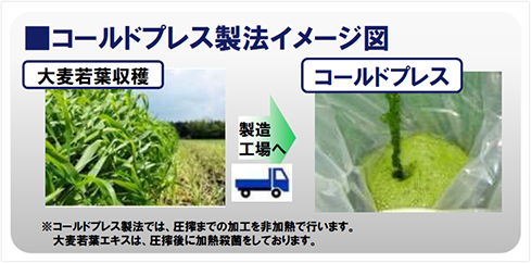 大麦若葉エキス末とは②