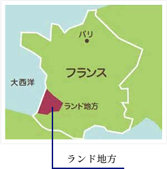 フラバンジェノールとは①