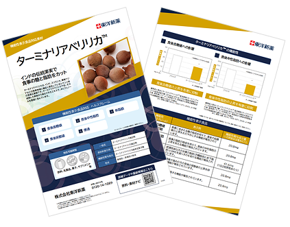 ターミナリアベリリカ™のご紹介