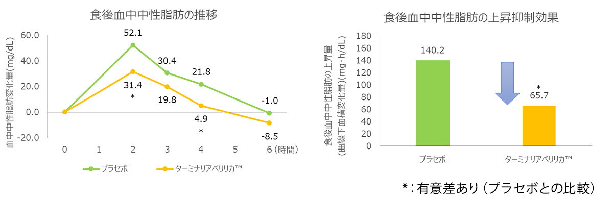 食後の血中中性脂肪の上昇抑制作用