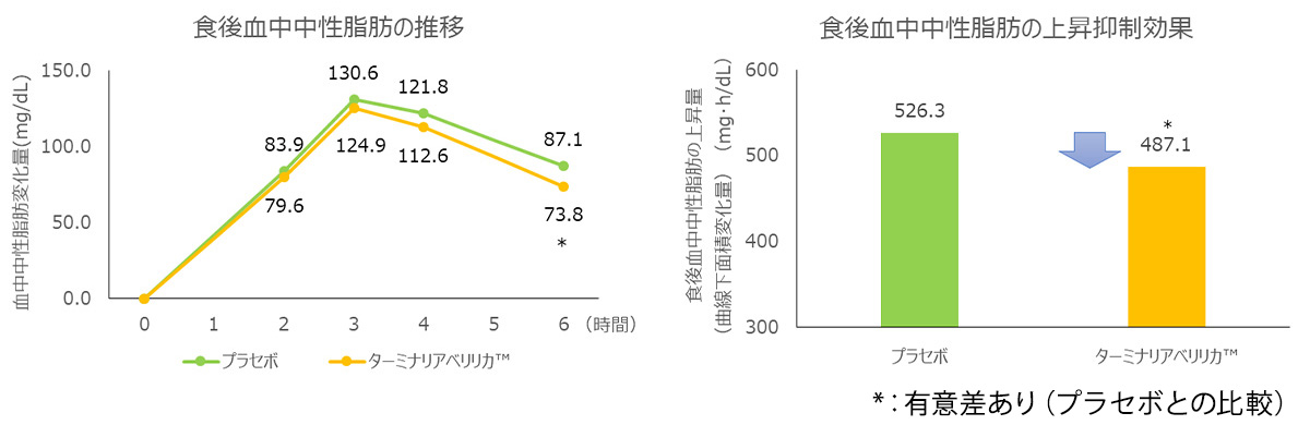 食後の血中中性脂肪の上昇抑制作用