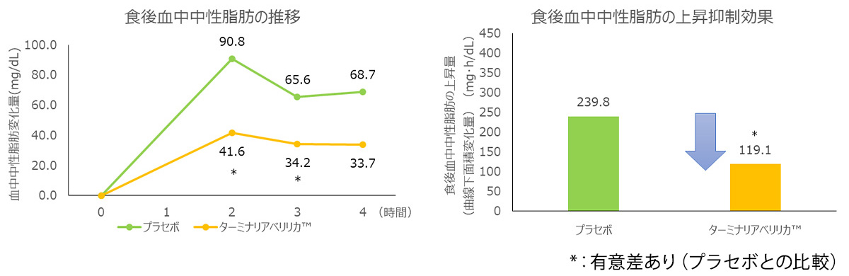 食後の血中中性脂肪の上昇抑制作用