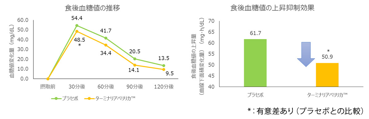 食後の血糖値の上昇抑制作用