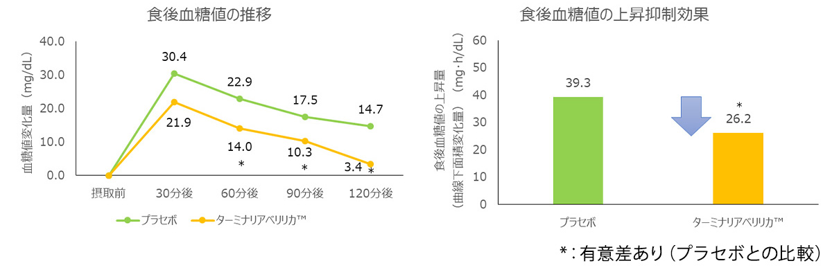 食後の血糖値の上昇抑制作用